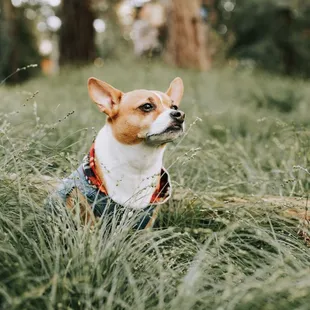 A mini forest was refreshing