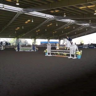 All I hear in my head is "I believe I can fly" by R. Kelly when I see this.