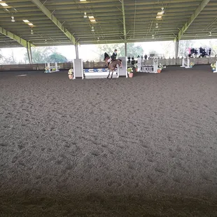 Looks like that horse is about to fall.  It didn't.