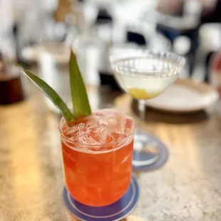 Jungle Bird. IG: @_emwong_