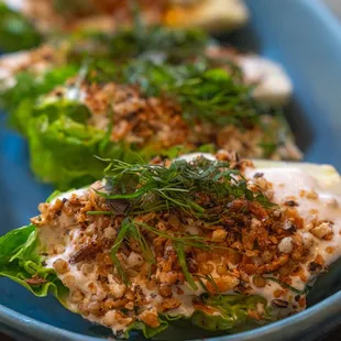 oysters and mussels, food, mussels, oysters, shellfish