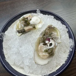 east coast oyster
