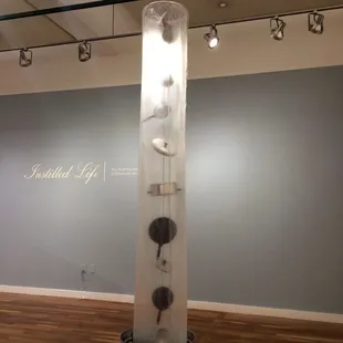 "Small Talk" by Luciano Perna