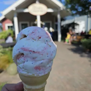 Freckled lemon ice cream