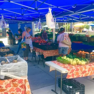 Shoppers looking at produce under one of the canopy tents @ UDC Farmer's Market