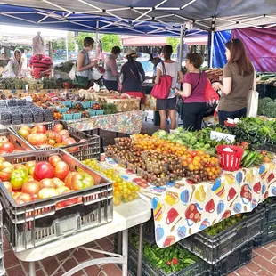 All of the good stuff...