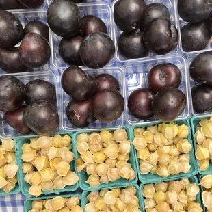 Fresh produce at the UDC/VN Farmers Mkt