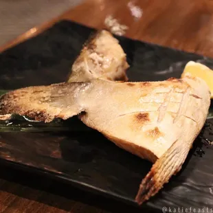 Hamachi collar