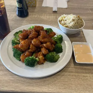 General Tso and Fried Rice