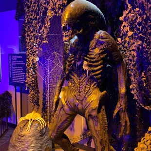 Alien from old movie!