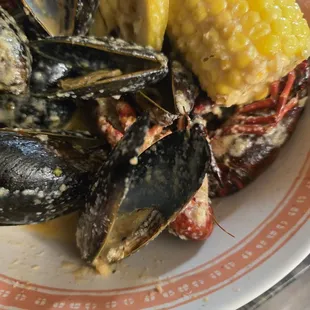 Ugly Crab