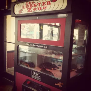 Lobster Zone