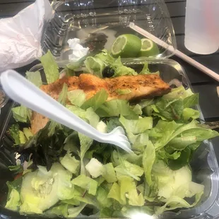 This is what I had. Nostra Salmon Salad