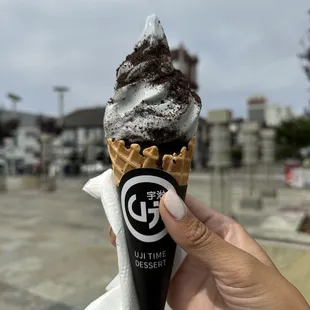 Black Sesame Scoop Ice Cream