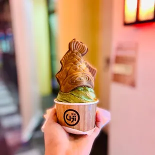 Match Matcha Scoop Ice Cream in Taiyaki