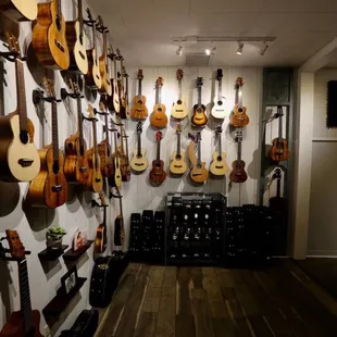 Some of the finest ukuleles in the world available for purchase.