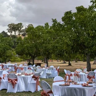 Outdoor Wedding Reception