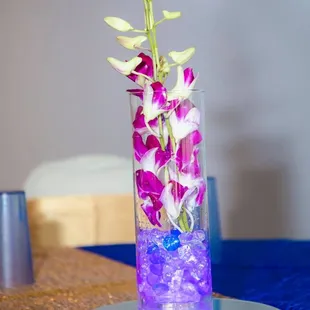 Party  Hall - UlavacharU