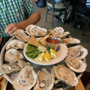 Oysters on the Half Shell