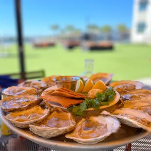 Oysters Half Shell