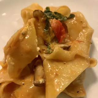 Pappardelle Colorato