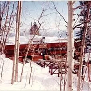 A Black Diamond in the rough