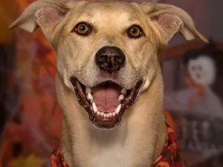 Caroline Photography