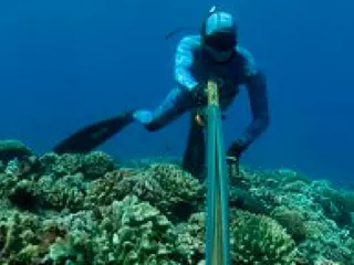 Maui Sporting Goods Spearfishing Specialties- Honolulu