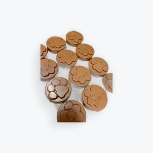 solid chocolate paw prints