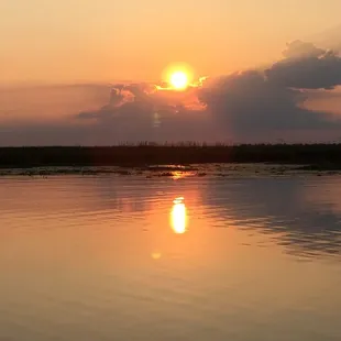 A beautiful sunset over the swamp.