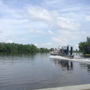 Airboat was speeding past us
