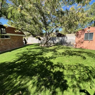the backyard of a home