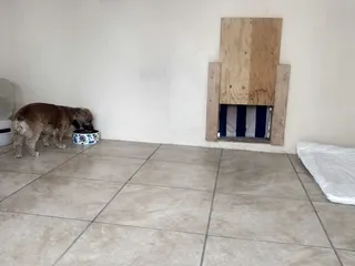 Lisa's Country Grooming