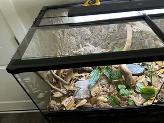 Lowe's Home Improvement