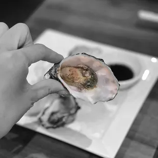 Half Dozen Oysters | @whaevaeats