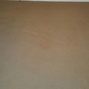 Red stain 95% removed