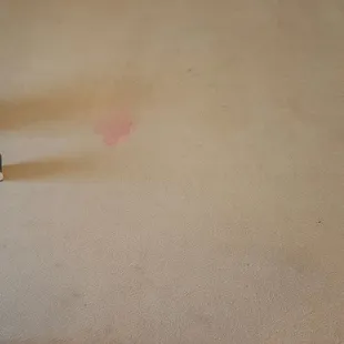 Expert red stain removal!!