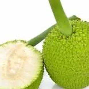&apos;Ulu (breadfruit)
