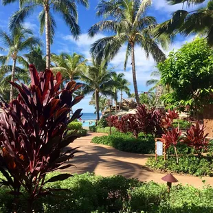 Sept 2015 :: gorgeous breakfast view from the patio seating area at Ulu Cafe