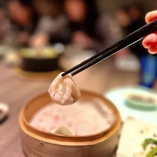 Shanghai Pork Soup Dumplings (5)