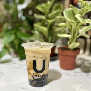 12. Hojicha Milk Tea