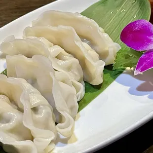 Steam Gyoza