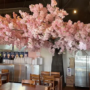 Cherry Blossom tree