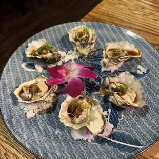 Oysters