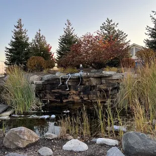 a statue of a horse in a pond