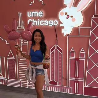 Mega Fruit Family Green Tea(T350)