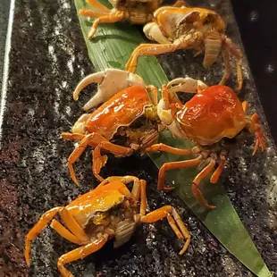 Sawagani