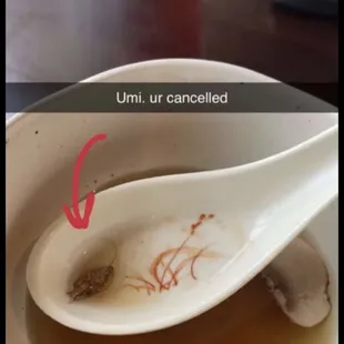 a bowl of soup with a spoon in it