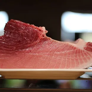 Bluefin Tuna