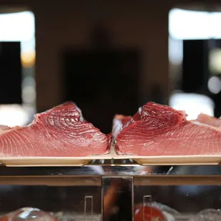 Bluefin Tuna